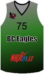 Camisa do clube team-jerseys-front
