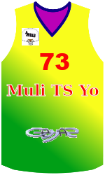 team-jerseys-front