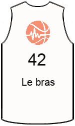 team-jerseys-front