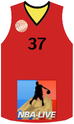 Klubbens jerseys team-jerseys-front
