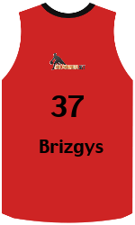 Klubbens jerseys team-jerseys-front