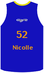Camisa do clube team-jerseys-front
