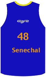 Camisa do clube team-jerseys-front