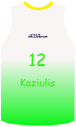 Camisa do clube team-jerseys-front
