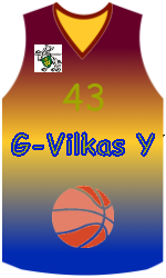 Camisa do clube team-jerseys-front