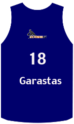 Klubo marškinėliai team-jerseys-front