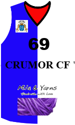 Camiseta del equipo team-jerseys-front