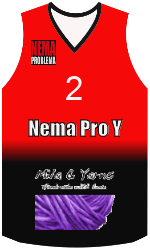 Camisa do clube team-jerseys-front