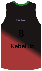 Camisa do clube team-jerseys-front