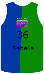 Club's jerseys team-jerseys-front