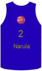 Camisa do clube team-jerseys-front