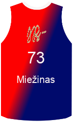 Club's jerseys team-jerseys-front