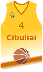 Club's jerseys team-jerseys-front