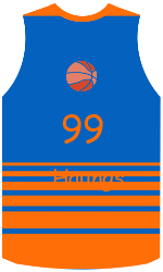 Club's jerseys team-jerseys-front