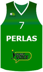 Camisa do clube team-jerseys-front