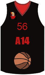 Klubo marškinėliai team-jerseys-front