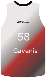 Camisa do clube team-jerseys-front