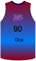 Дрес-маици на клубот team-jerseys-front