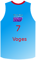 Camisa do clube team-jerseys-front
