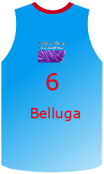 Club's jerseys team-jerseys-front