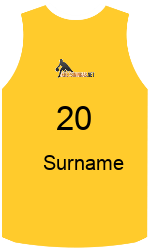 Divisa della squadra team-jerseys-back