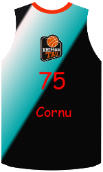 Camisa do clube team-jerseys-front