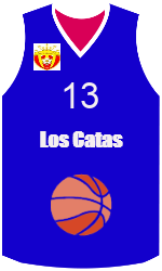 Camisa do clube team-jerseys-front