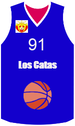 Camisa do clube team-jerseys-front