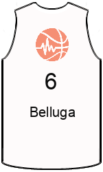 team-jerseys-front