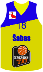 Camisa do clube team-jerseys-front