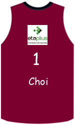 Camisa do clube team-jerseys-front