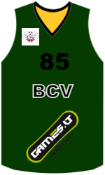 Club's jerseys team-jerseys-front