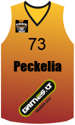 team-jerseys-front