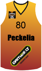 Club's jerseys team-jerseys-front