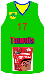 俱樂部球衣 team-jerseys-front