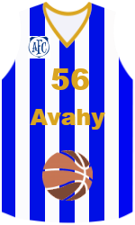Camisa do clube team-jerseys-front