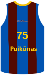 Camisa do clube team-jerseys-front