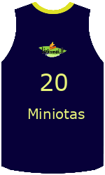 Camisa do clube team-jerseys-front
