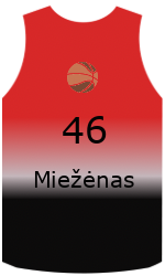 Camisa do clube team-jerseys-front