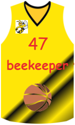 Camisa do clube team-jerseys-front