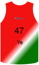 Camisa do clube team-jerseys-front