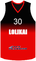 Camisa do clube team-jerseys-front