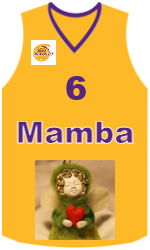 Дрес-маици на клубот team-jerseys-front