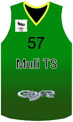 Camisa do clube team-jerseys-front