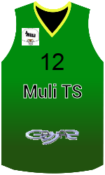 Camisa do clube team-jerseys-front