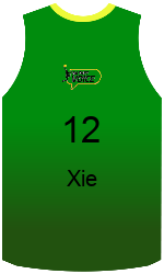 Camisa do clube team-jerseys-front
