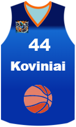 Camisa do clube team-jerseys-front