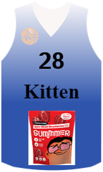 team-jerseys-front