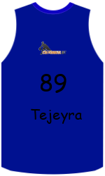 Club's jerseys team-jerseys-front