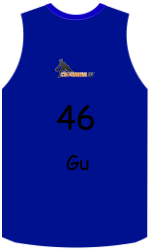 Дрес-маици на клубот team-jerseys-front